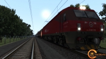 T55  -u