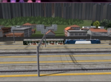 HXD1C&XYYAO DogCA23