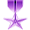 |Ñ